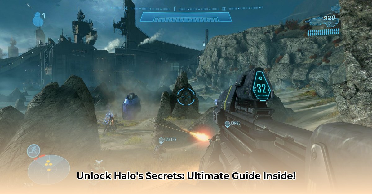 apk-halo
